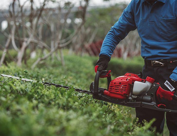 Shindaiwa Hedge Trimmer - DH185ST