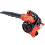 Echo PB-255-ES Power Blower